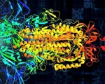 'Biến' virus SARS-CoV-2 thành âm nhạc hỗ trợ nghiên cứu