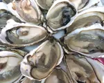 Hà Nội mong dân “giải cứu” cá hồi, ngao, hàu
