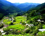 Xu hướng thành phố không rác thải