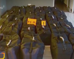 Costa Rica thu giữ hơn 1 tấn cocaine giấu trong container