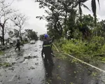 Bão Vongfong gây thiệt hại nặng nề tại Philippines