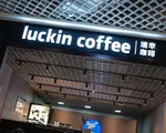 Luckin Coffee trước nguy cơ hủy niêm yết trên sàn Nasdaq