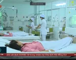 Gia tăng số ca bệnh sốt xuất huyết nặng tại Khánh Hòa