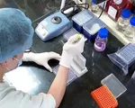 Thế giới gây quỹ thúc đẩy nghiên cứu vaccine phòng chống COVID-19