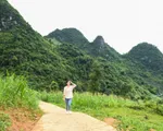 Hoa hậu Lương Thùy Linh khánh thành con đường hơn 2 tỷ đồng