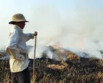 Hệ lụy nguy hiểm từ thực trạng đốt rơm rạ tràn lan