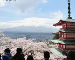 Kích cầu du lịch, Nhật Bản hỗ trợ 50% chi phí chuyến đi cho người dân