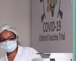 Vaccine COVID-19 của ĐH Oxford đạt kết quả khả quan