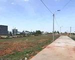 Truy tố nguyên Chủ tịch, Phó Chủ tịch UBND TP Phan Thiết