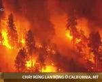 Cháy rừng lan rộng tại California, Mỹ