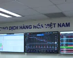 Sở Giao dịch Hàng hóa - Mô hình mới “hút” nhà đầu tư