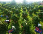 Lồng ghép nhiều chương trình phát triển toàn diện vùng đồng bào dân tộc thiểu số