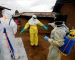 WHO thông báo 100 ca nhiễm Ebola ở miền Tây CHDC Congo