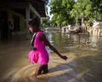 Bão Laura càn quét Haiti, Dominica và Puerto Rico khiến hàng chục người thiệt mạng