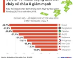 [INFOGRAPHIC] COVID-19 khiến lượng kiều hối chảy về châu Á giảm mạnh