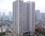 Vì sao giá nhà vẫn “quyết” tăng không giảm dù “thấm đòn” đại dịch?