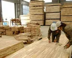 Thấy gì từ việc Hải quan áp mã HS với gỗ ván ghép thanh?