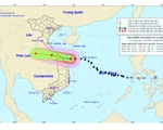 Bão số 5 giật cấp 12, gây mưa lớn từ Hà Tĩnh đến Quảng Ngãi