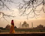 Ấn Độ mở cửa trở lại đền Taj Mahal bất chấp dịch COVID-19