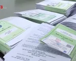 Bảo hiểm thất nghiệp hỗ trợ người lao động mất việc