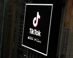 TikTok tuyên chiến với các nội dung xấu, độc