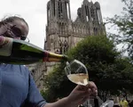 Năm 2020 là năm kinh hoàng đối với rượu champagne