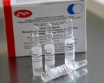 Nga thông báo vaccine EpiVacCorona đạt hiệu quả tuyệt đối