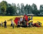Việt Nam nêu quan điểm về giá lúa gạo