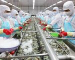 Việt Nam đặt mục tiêu dẫn đầu thế giới về sản xuất và xuất khẩu thủy sản
