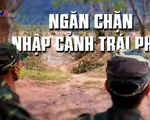 "Cuộc chiến nóng' với tình trạng nhập cảnh trái phép qua đường mòn, lối mở