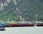 Nhiều địa phương cấm biển ứng phó bão số 7