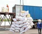 Giá gạo Việt xuất khẩu vượt Thái Lan