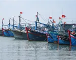 Khắc phục “thẻ vàng” IUU: Xây dựng, bổ sung kế hoạch thực hiện chống khai thác IUU phù hợp