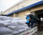 Nghị quyết 128 gỡ “nút thắt” thiếu lao động cho doanh nghiệp xuất khẩu gạo