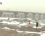Bọt độc hại bao phủ dòng sông Yamuna tại Ấn Độ
