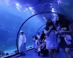 Thủy cung lớn nhất Trung Đ&ocirc;ng mở cửa đ&oacute;n kh&aacute;ch