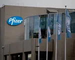 Pfizer đạt thỏa thuận cung ứng thuốc điều trị COVID-19 trên toàn cầu