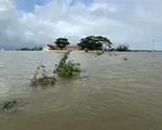 Tây Nguyên và Nam Trung Bộ sắp xuất hiện đợt mưa lũ, nhiều vùng biển cảnh báo nguy hiểm