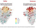 Điểm giống và khác nhau giữa hai biến thể Omicron và Delta