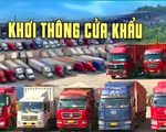 Container ùn ứ tại cửa khẩu, nông sản lại 'tắc đường'