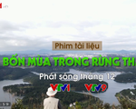 PTL Bốn mùa trong rừng thẳm: Chuyện ông lão 80 tuổi yêu rừng bằng cả trái tim