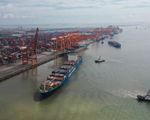 Cước vận tải biển từ Trung Quốc đi Đông Nam Á tăng gấp 10 lần
