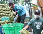 Hàng nghìn tấn nông sản chờ đầu ra