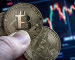 Chiếc ví bí ẩn chứa 321 Bitcoin “sống lại” sau 8 năm “ngủ đông”