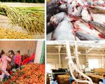 Xuất khẩu nông sản vượt mục tiêu Chính phủ giao