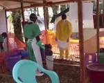 WHO cảnh báo 6 nước Châu Phi về dịch Ebola