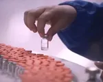 Trung Quốc bắt giữ 80 người trong đường dây vaccine COVID-19 giả