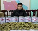 Triệt phá đường dây vận chuyển trái phép cần sa qua đường chuyển phát nhanh