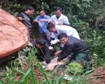 Nghệ An: Ô tô rơi xuống vực, 3 cán bộ huyện thương vong