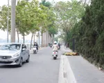 Hà Nội chuẩn bị lắp camera an ninh giám sát ở Hồ Tây